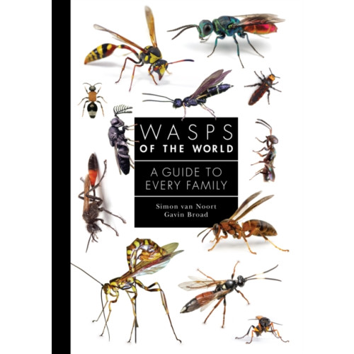 Princeton University Press Wasps of the World (inbunden, eng)