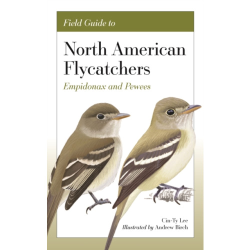 Princeton University Press Field Guide to North American Flycatchers (häftad, eng)