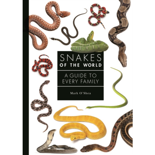 Princeton University Press Snakes of the World (inbunden, eng)