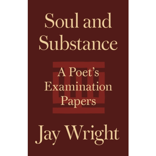 Princeton University Press Soul and Substance (häftad, eng)