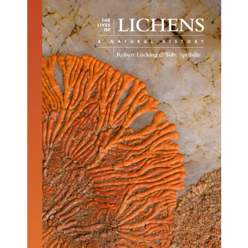 Princeton University Press The Lives of Lichens (inbunden, eng)