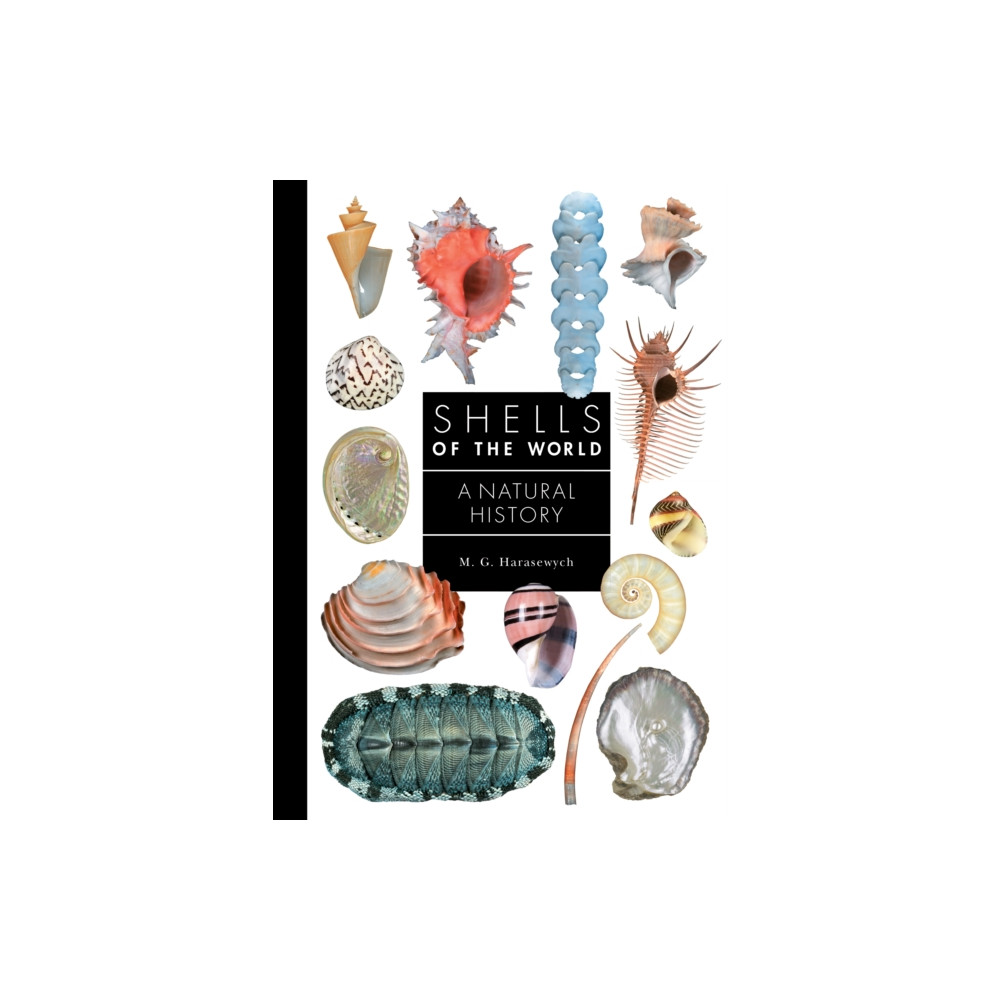 Produktbild för Shells of the World (inbunden, eng)