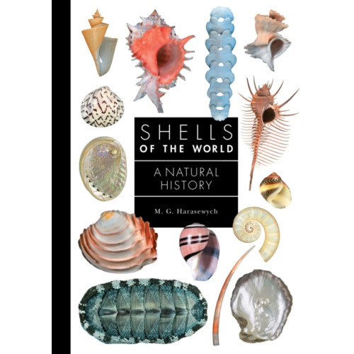 Princeton University Press Shells of the World (inbunden, eng)