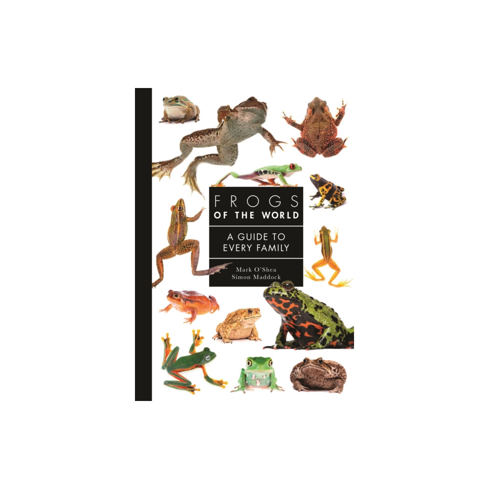 Produktbild för Frogs of the World (inbunden, eng)