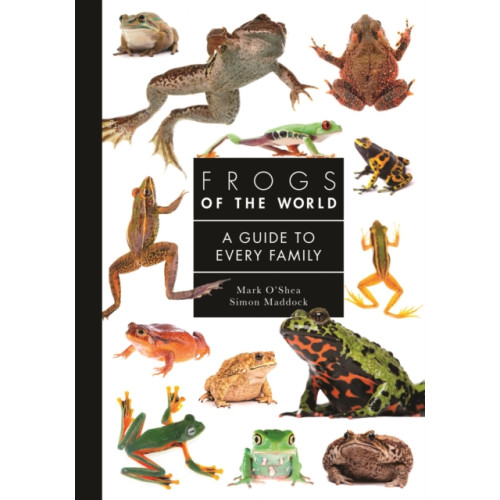 Princeton University Press Frogs of the World (inbunden, eng)