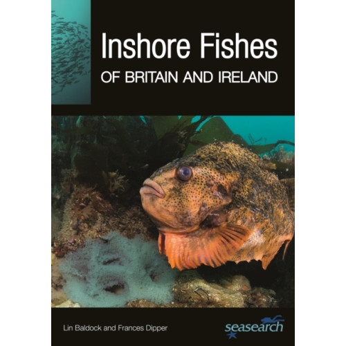 Princeton University Press Inshore Fishes of Britain and Ireland (häftad, eng)