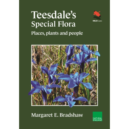 Princeton University Press Teesdale's Special Flora (häftad, eng)