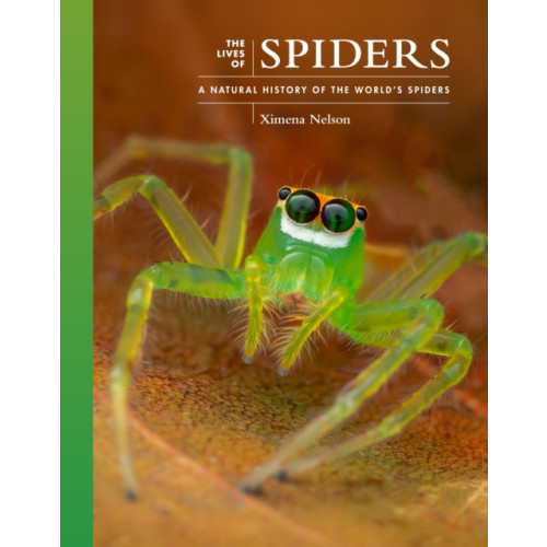 Princeton University Press The Lives of Spiders (inbunden, eng)