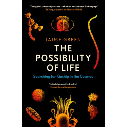 Duckworth Books The Possibility of Life (häftad, eng)