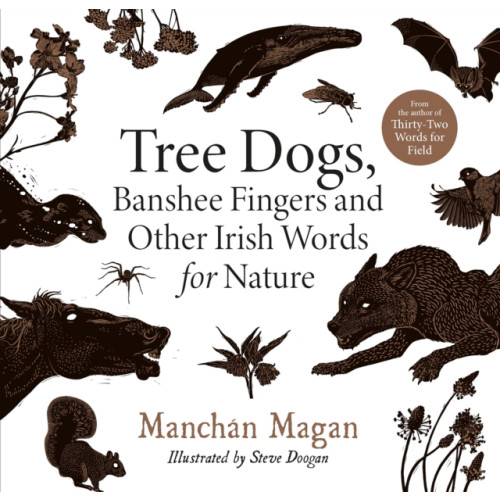 Gill Tree Dogs, Banshee Fingers and Other Irish Words for Nature (inbunden, eng)