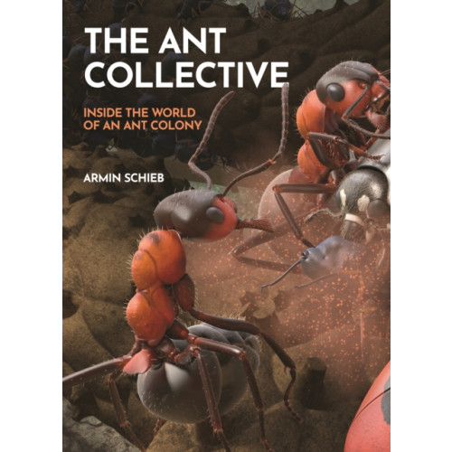 Princeton University Press The Ant Collective (inbunden, eng)