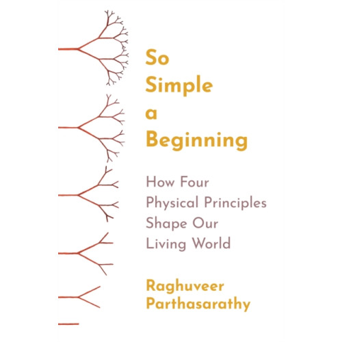 Princeton University Press So Simple a Beginning (häftad, eng)