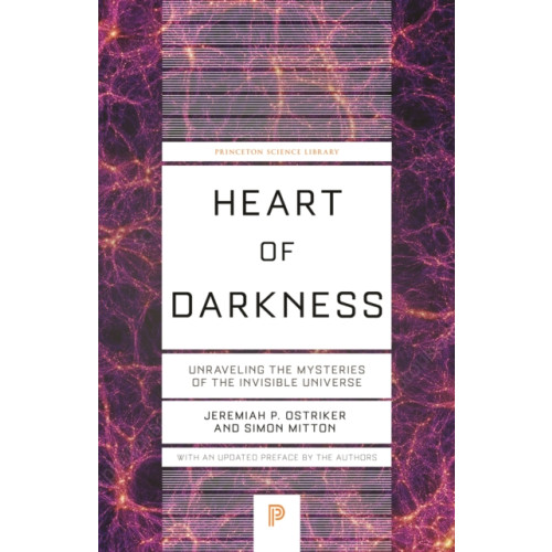 Princeton University Press Heart of Darkness (häftad, eng)