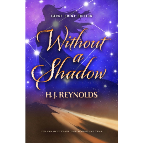 CamCat Publishing, LLC Without a Shadow (Large Print Edition) (häftad, eng)