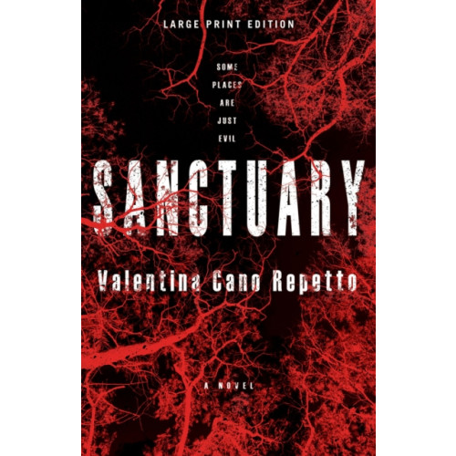 CamCat Publishing, LLC Sanctuary (Large Print Edition) (häftad, eng)