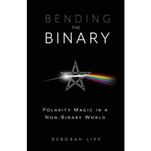 Llewellyn Publications,U.S. Bending the Binary (häftad, eng)