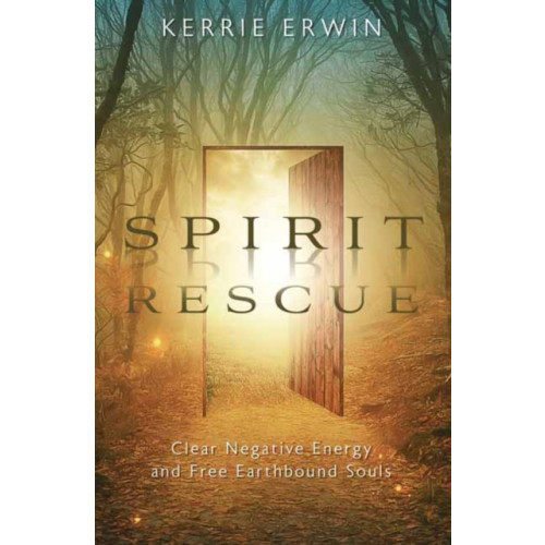 Llewellyn Publications,U.S. Spirit Rescue (häftad, eng)