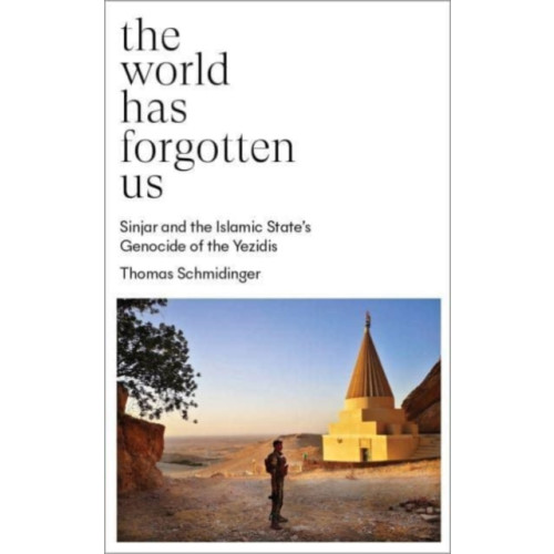 Pluto Press The World Has Forgotten Us (häftad, eng)