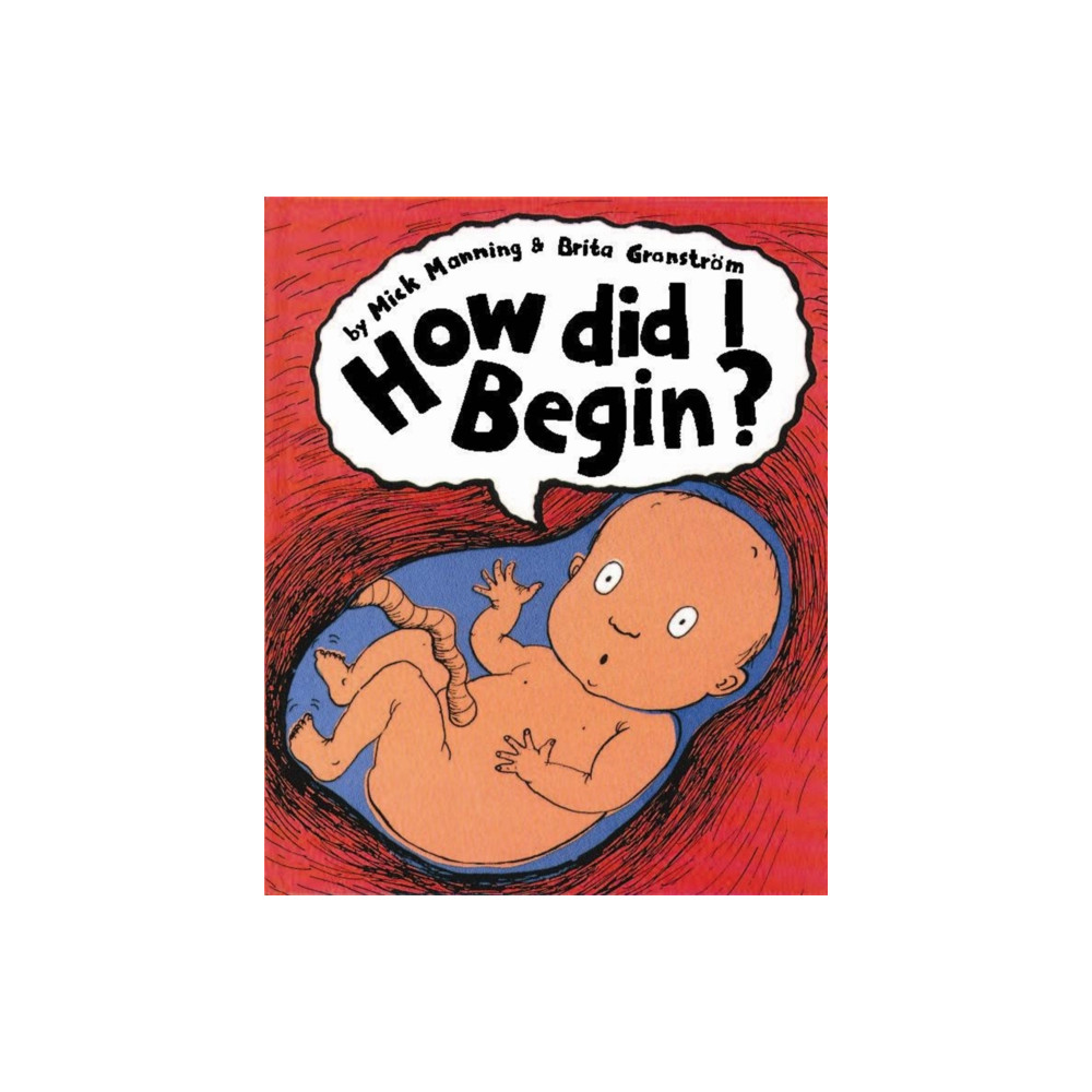 Produktbild för How Did I Begin? (häftad, eng)