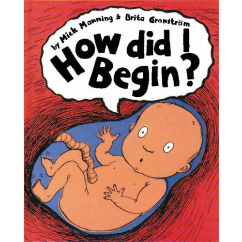 Hachette Children's Group How Did I Begin? (häftad, eng)