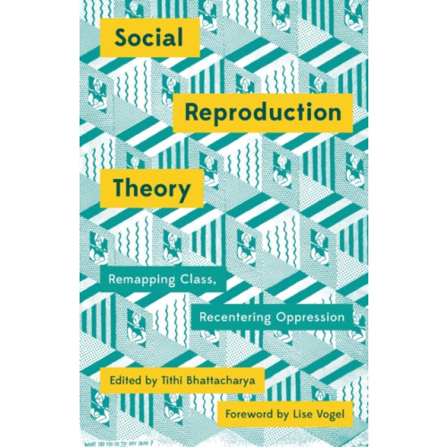 Pluto Press Social Reproduction Theory (häftad, eng)