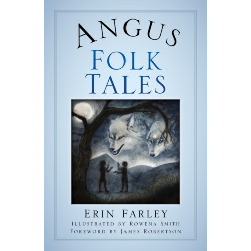 The History Press Ltd Angus Folk Tales (häftad, eng)