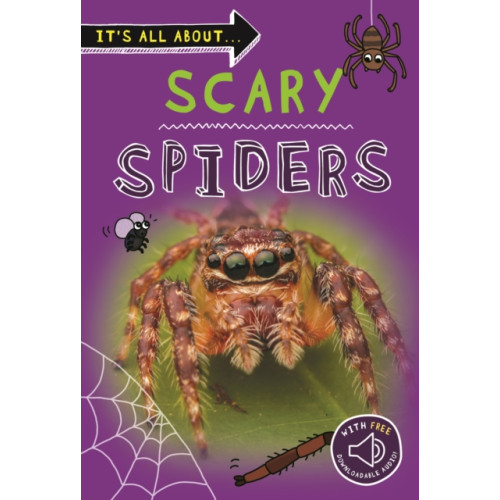 Pan Macmillan It's All About... Scary Spiders (häftad, eng)