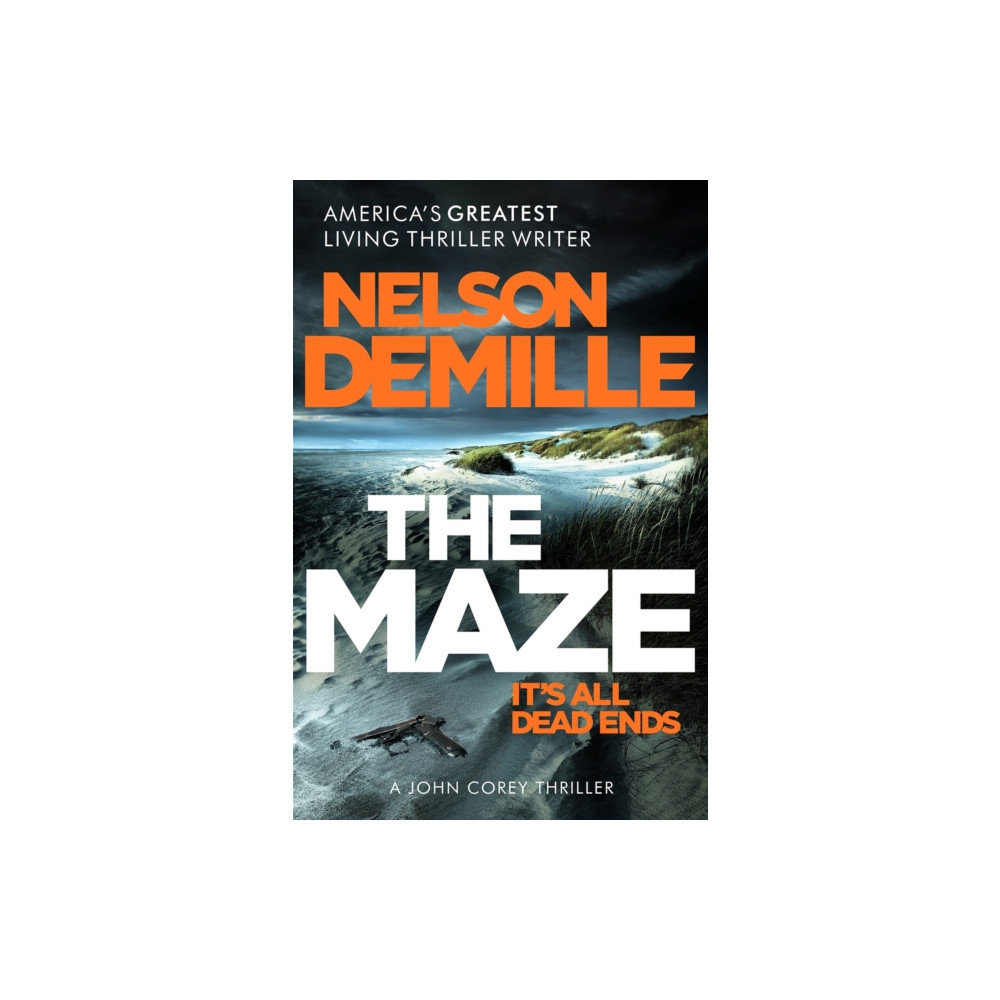 Produktbild för The Maze (häftad, eng)