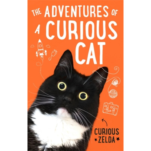 Little, Brown Book Group The Adventures of a Curious Cat (häftad, eng)