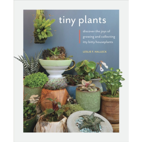 Quarto Publishing Group USA Inc Tiny Plants (häftad, eng)