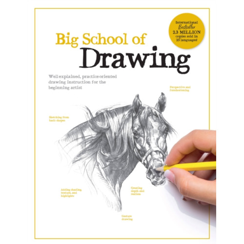 Quarto Publishing Group USA Inc Big School of Drawing (häftad, eng)