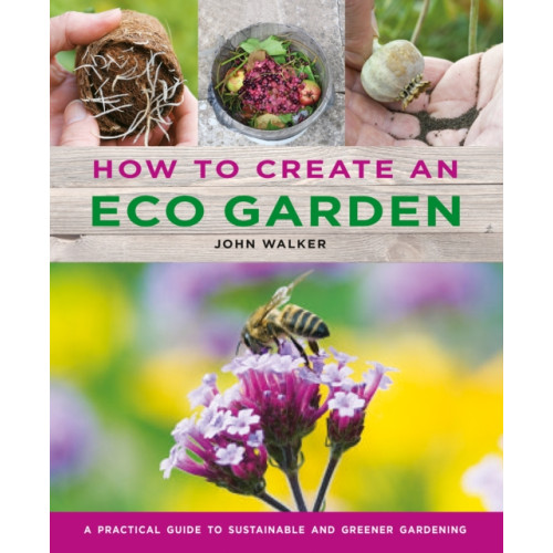 Anness publishing How to Create an Eco Garden (inbunden, eng)