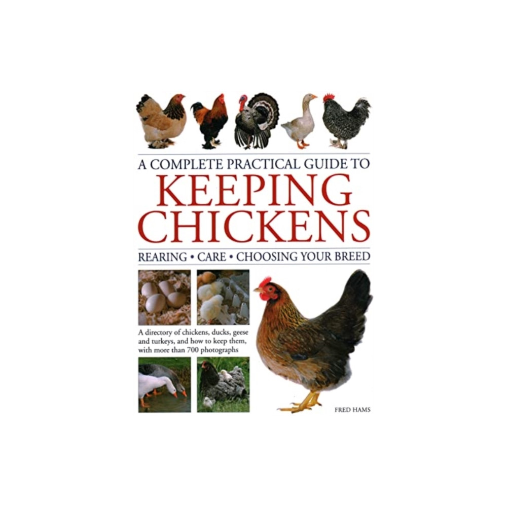 Produktbild för Keeping Chickens, Complete Practical Guide to (inbunden, eng)
