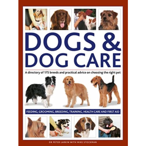 Dogs & Dog Care , Anness publishing (inbunden, english)