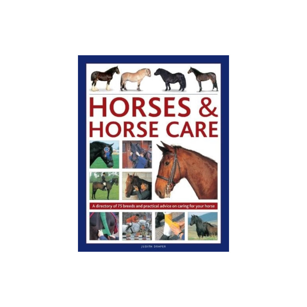 Produktbild för Horses & Horse Care (inbunden, eng)