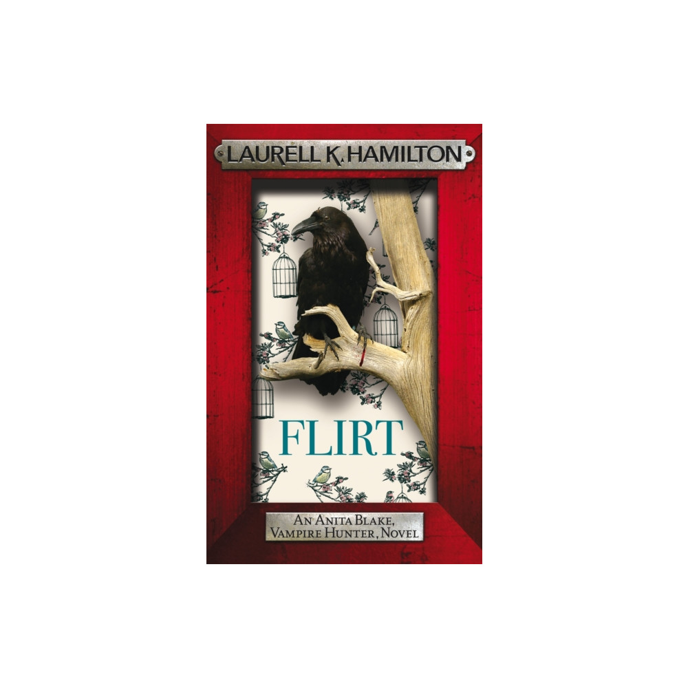 Produktbild för Flirt (häftad, eng)