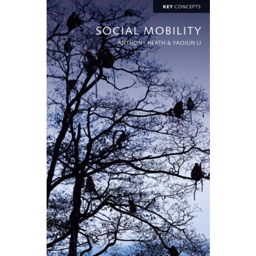 John Wiley And Sons Ltd Social Mobility (häftad, eng)