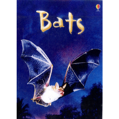 Usborne Publishing Ltd Bats (inbunden, eng)