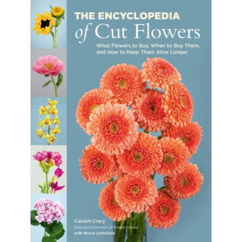 Running Press,U.S. The Encyclopedia of Cut Flowers (häftad, eng)