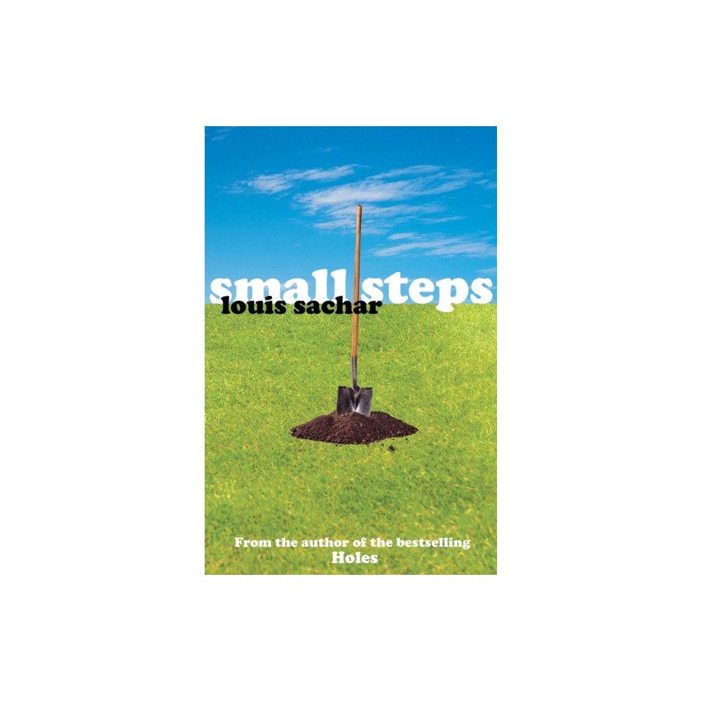 Produktbild för Small Steps (häftad, eng)