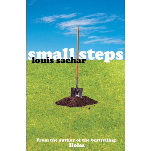 Bloomsbury Publishing PLC Small Steps (häftad, eng)