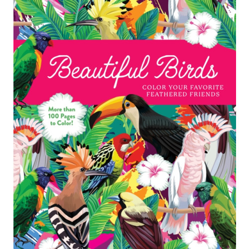 Quarto Publishing Group USA Inc Beautiful Birds (häftad, eng)