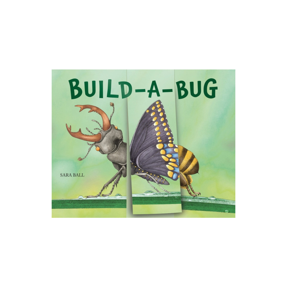 Produktbild för Build-a-Bug (bok, board book, eng)