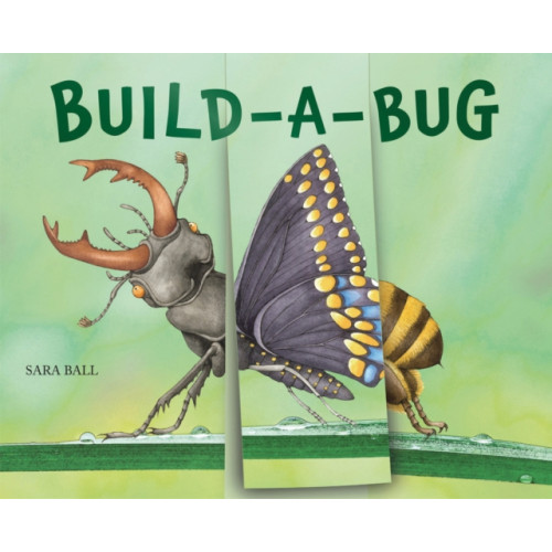 Abbeville Press Inc.,U.S. Build-a-Bug (bok, board book, eng)