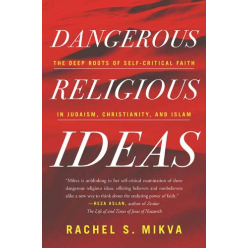 Beacon Press Dangerous Religious Ideas (häftad, eng)