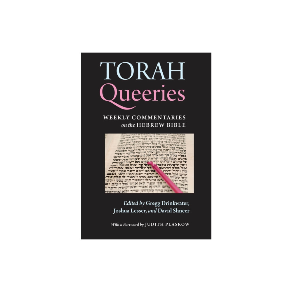 Produktbild för Torah Queeries (häftad, eng)