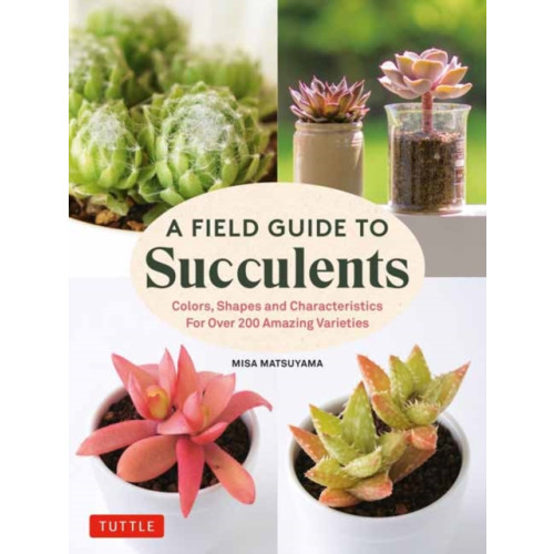 Tuttle Publishing A Field Guide to Succulents (inbunden, eng)