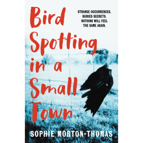 Verve Books Bird Spotting in a Small Town (häftad, eng)