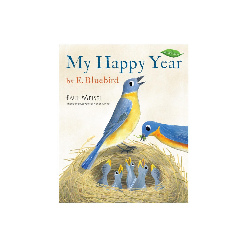 Produktbild för My Happy Year by E.Bluebird (häftad, eng)