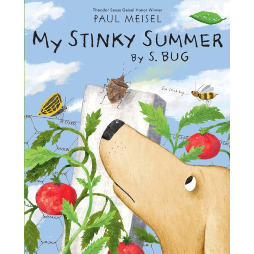 Holiday House Inc My Stinky Summer by S. Bug (häftad, eng)